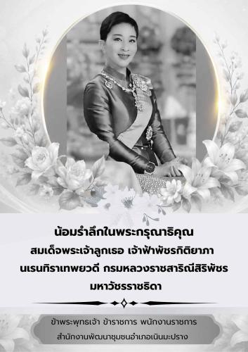 ขอน้อมถวายความอาลัยอย่างสุดซึ้ง และน้อมรำลึกในพระมหากรุณาธิคุณอันหาที่สุดมิได้